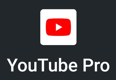 YouTube Pro 17. 33. 42