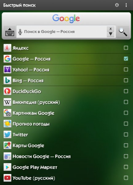 Быстрый поиск Про 4. 1