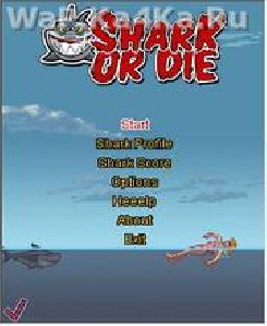 shark or die