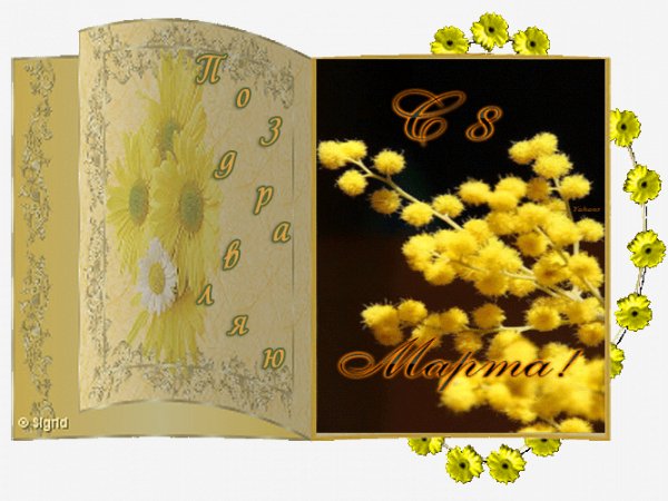 0 adea0 45146547 XL
