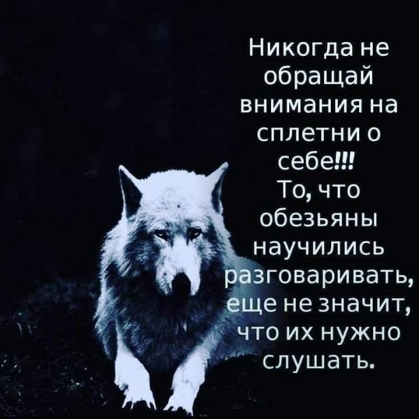 Не надо слушать