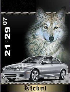 volk
