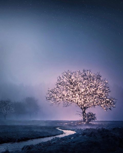 file_96356440