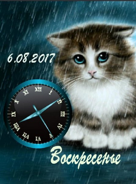 Голубоглазый