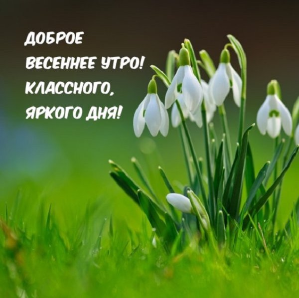 Доброе весеннее утро!
