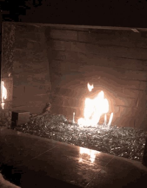 The fire