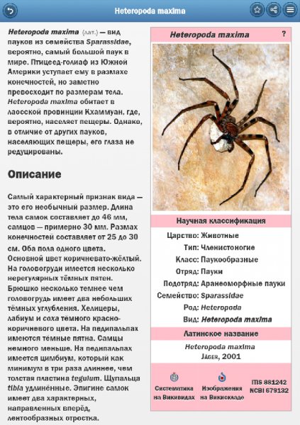 Пауки 5. 2. 0