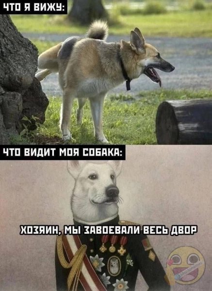IMG 20260926 161416 108