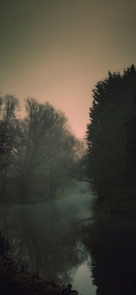 file_96413741