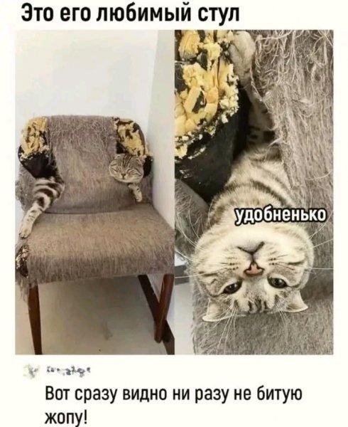 file_103599812