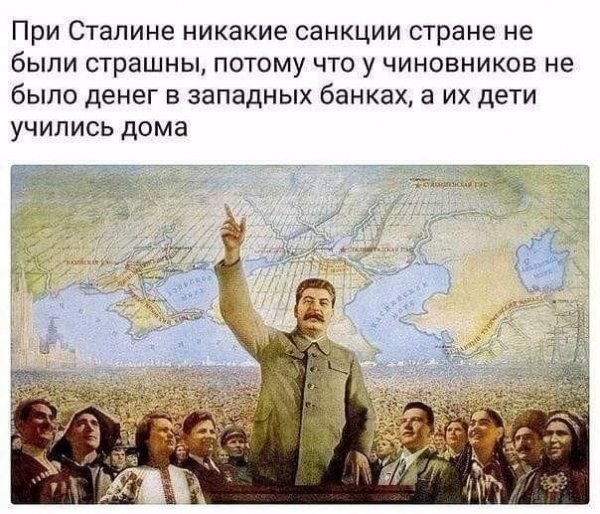 PVd3gsp7 yE