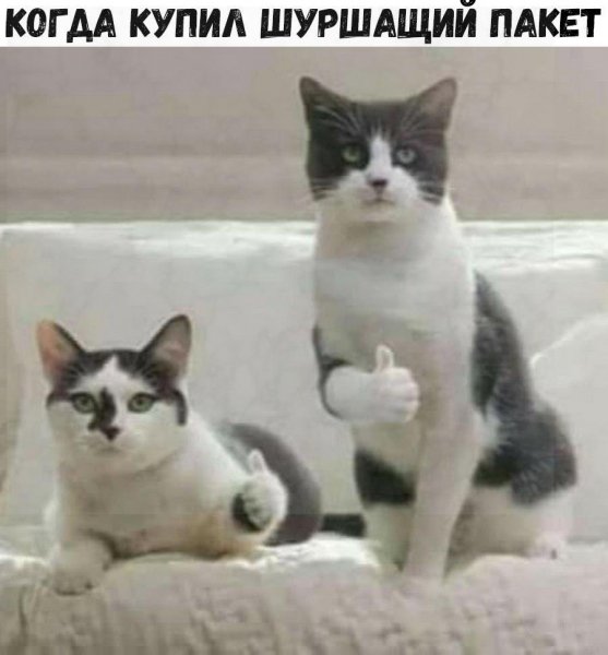 iglQRYXRYW4
