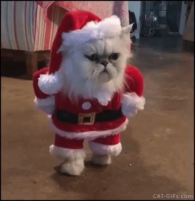 gif 1483092235