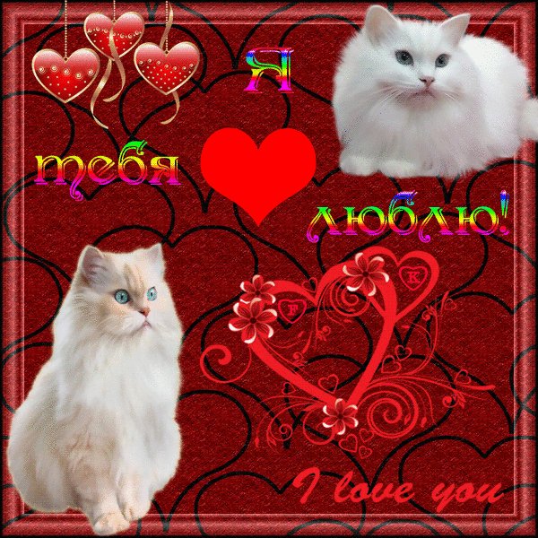 Файл #72466023