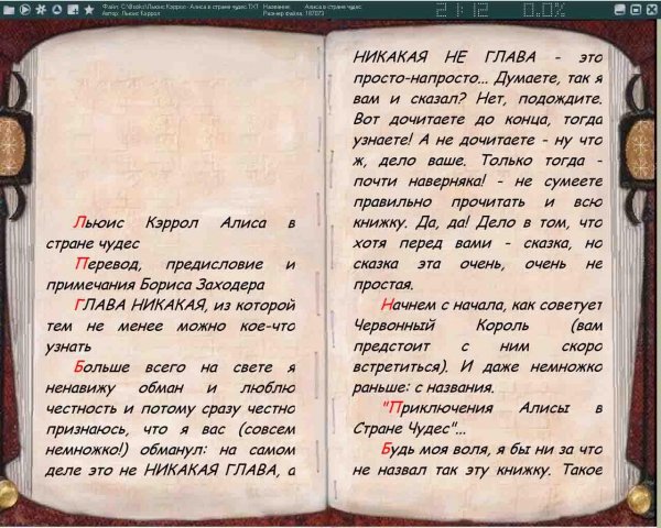 Ice book reader 8. 10. 2a