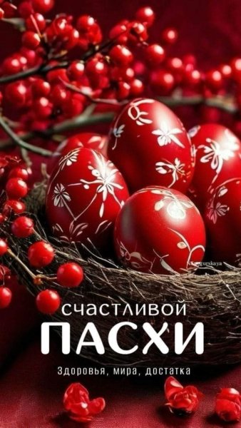 FB IMG 1714884399320