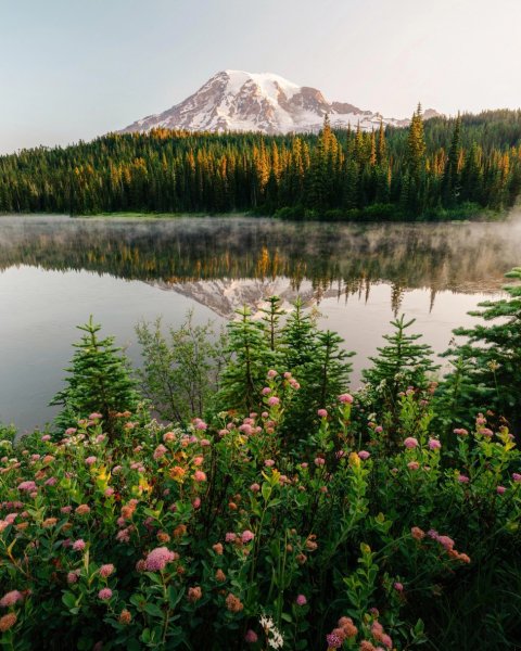 file_97420529
