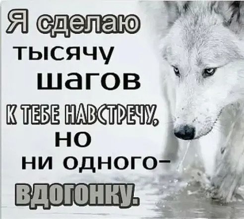 Волк