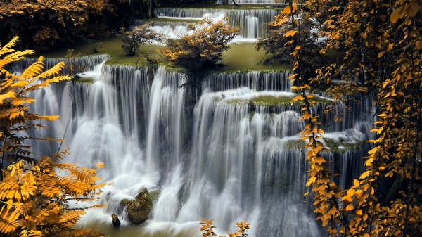 file_103090711