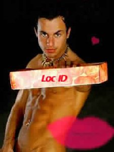 LocID-1. 1. 95p78-45anism