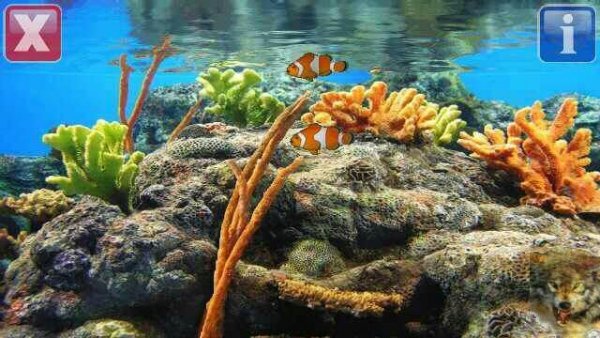 Рыбки EGi Marine Aquarium Clownfish V1 0