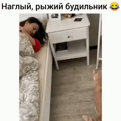 IMG 20240602 063109