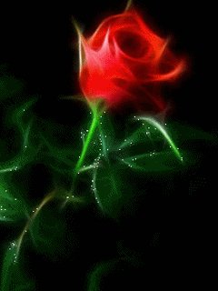 abstract rose