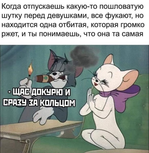 88f030178f73491b9d4c080e76bd23ab