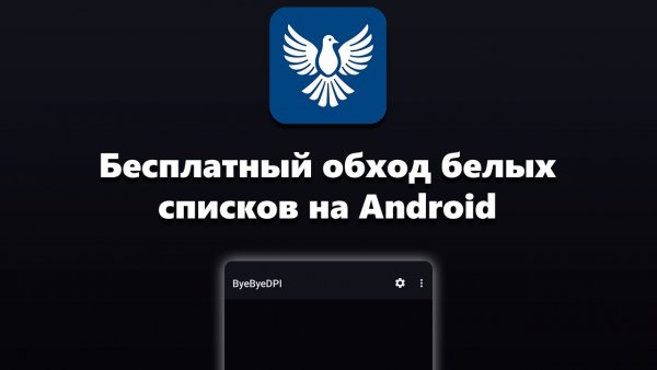 ByeByeDPI v1. 6. 5 mod