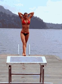 Erica-durance-bikini