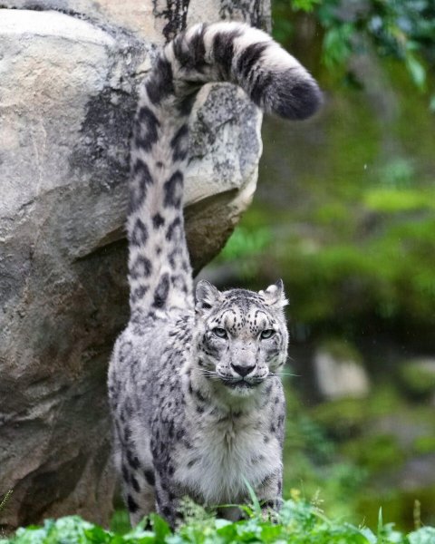file_100855416