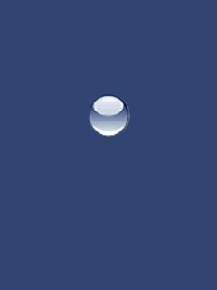 file_81015574