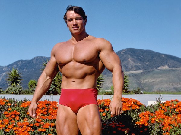 Arnold-schwarzenegger-foto-di-artie-zeller-1969-65677b1e3c33