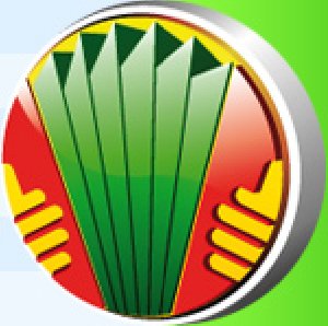 bayanICQ S60