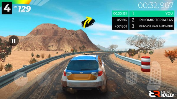 Real Rally v0. 3. 0 mods