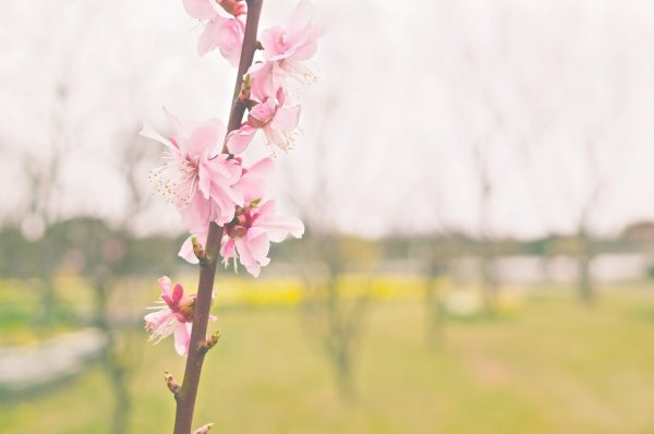 Img (20)