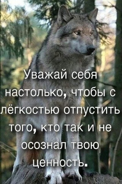 IMG 20221026 193242