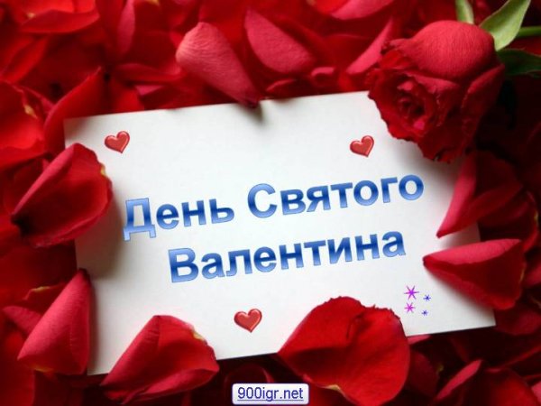 file_81167972