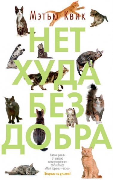 Мэтью Квик. Нет худа без добра