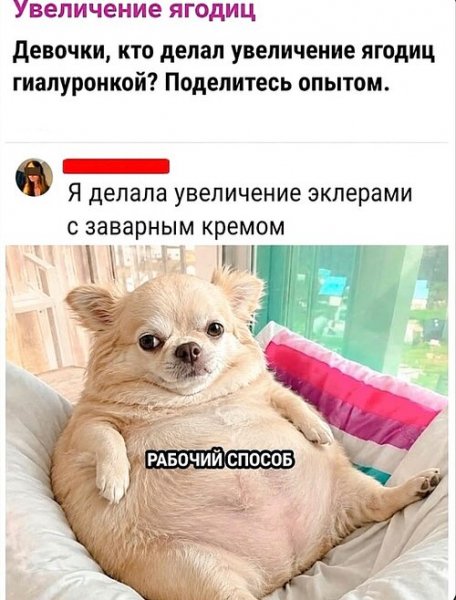 x500