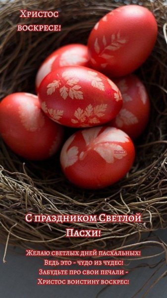 file_93257163