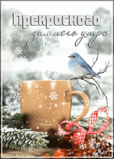 Зимнего утра