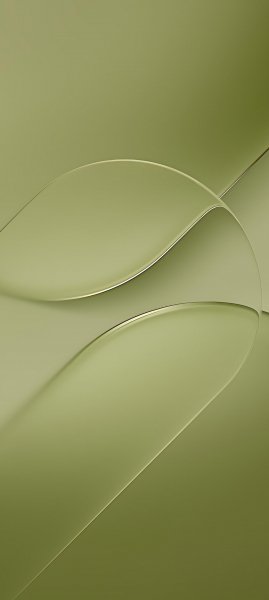 adapted 1080x2408 1791213355