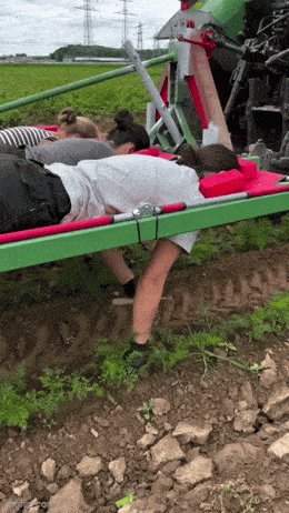 Когда трудиться по кайфу