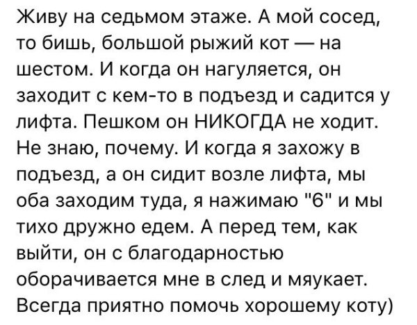 Живу на