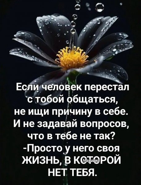 file_100527475