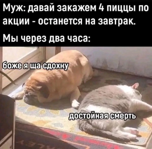 file_103599813