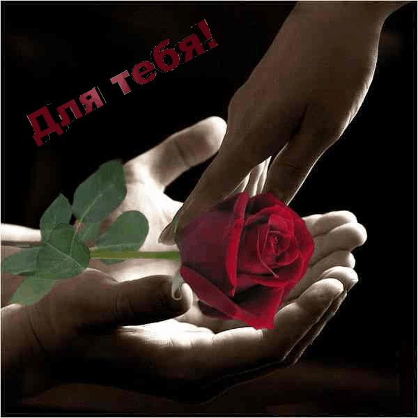 Для тебя. Роза Руки