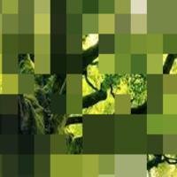 RePixel