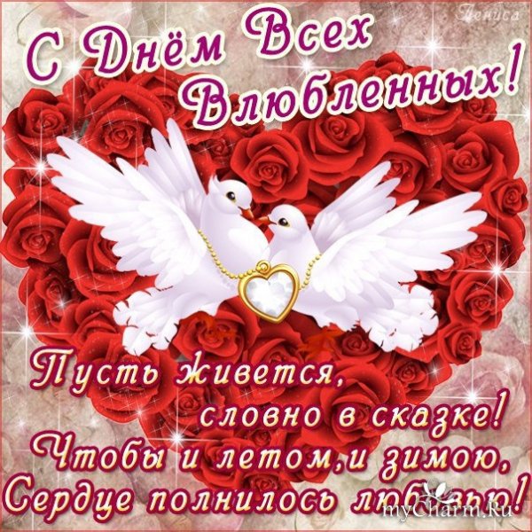 file_81168004